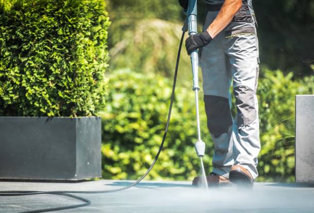 Best Pool Deck Cleaning  in Canyon Day, AZ